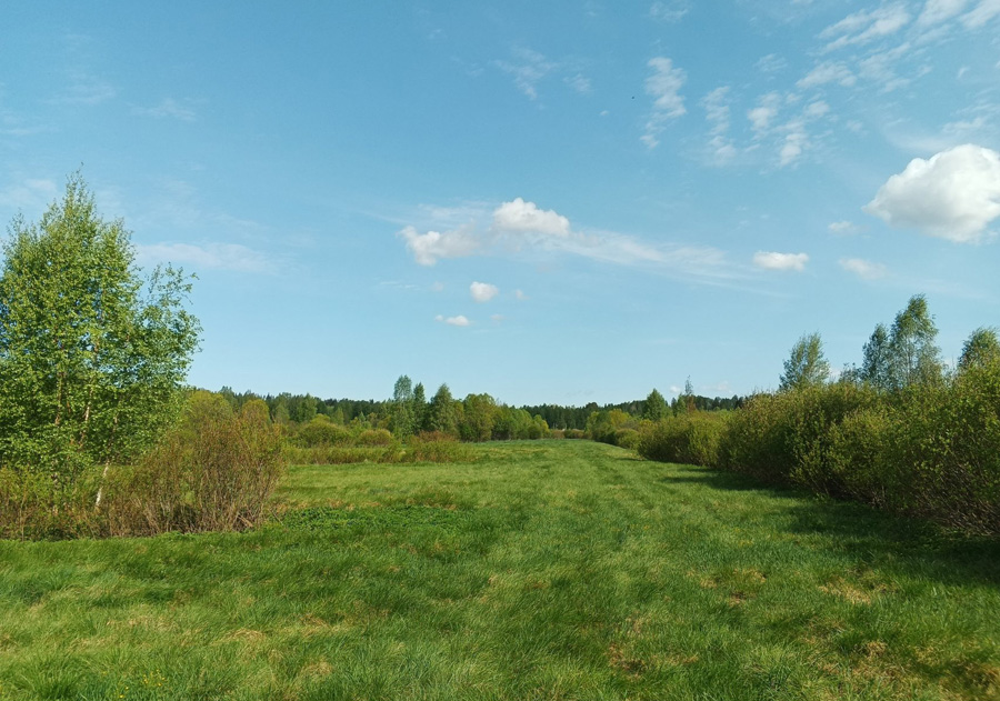 Выборгском районе п поляны. Красивые места под выборгом. , 71, посёлок поляны фото. Выборгском районе п поляны. Чаща посёлок ленинградская область садоводство.
